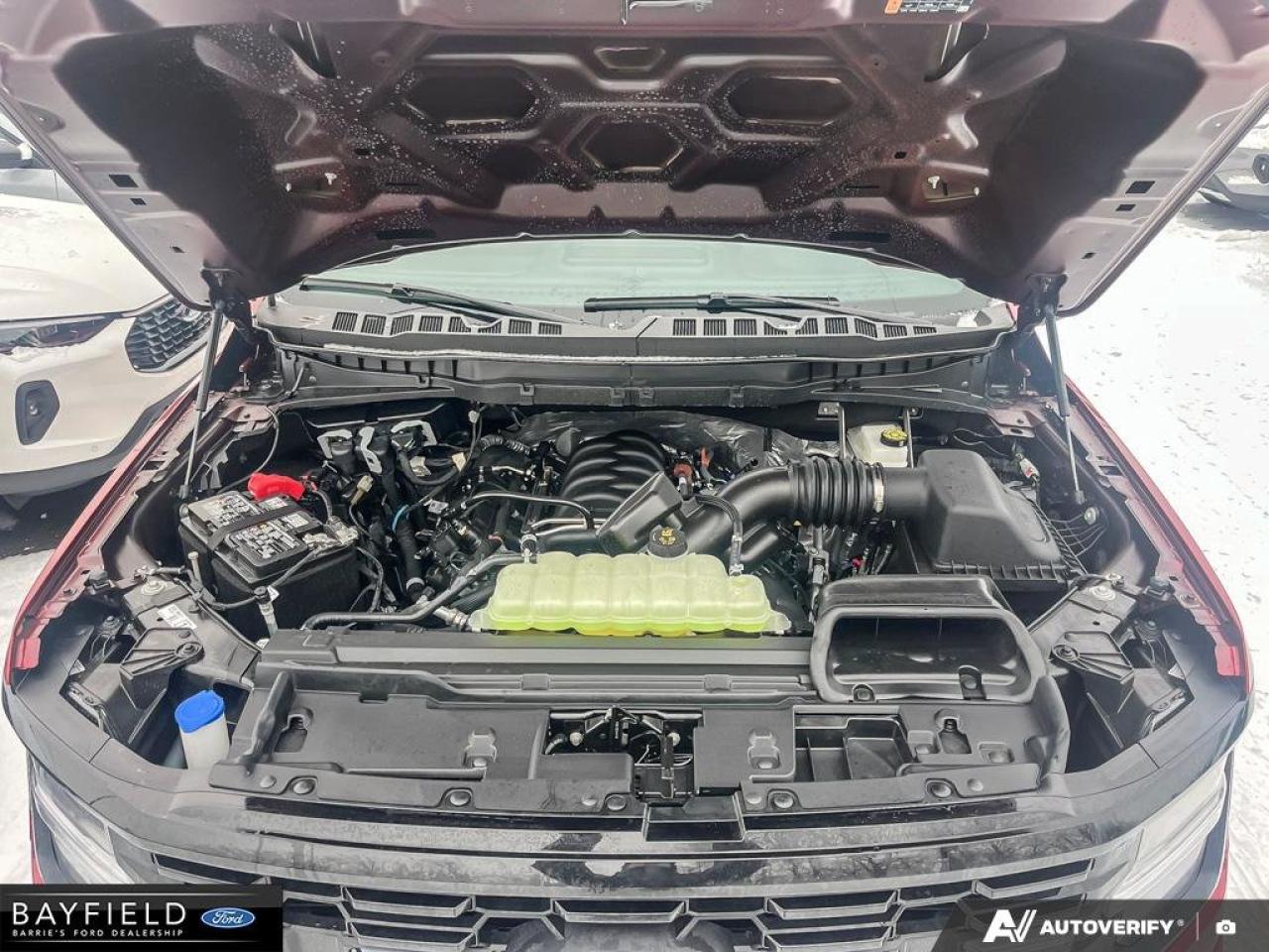 2025 Ford F-150 STX Photo