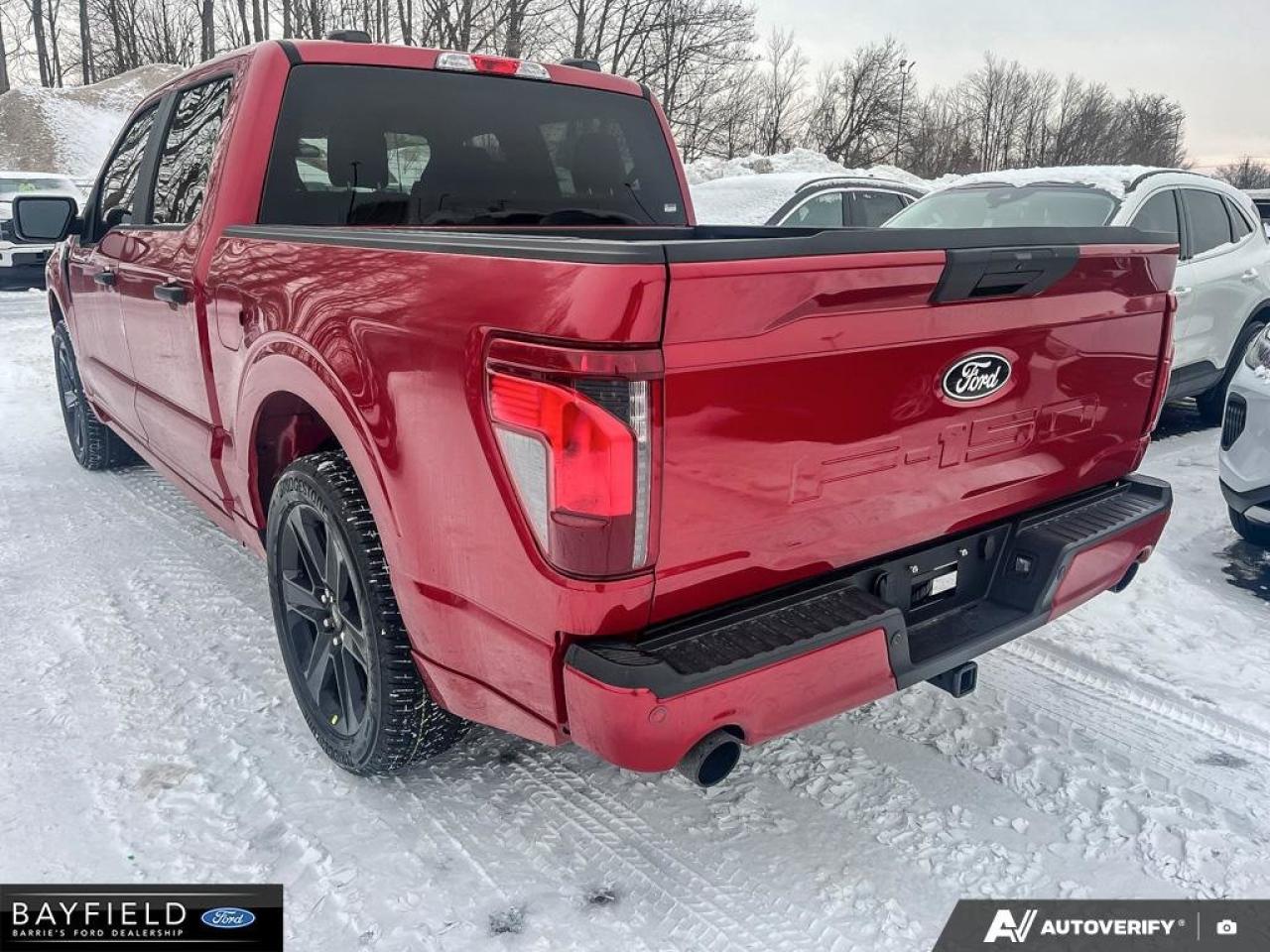 2025 Ford F-150 STX Photo