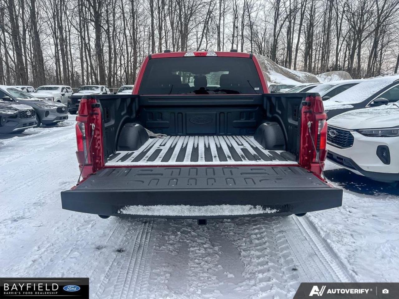 2025 Ford F-150 STX Photo