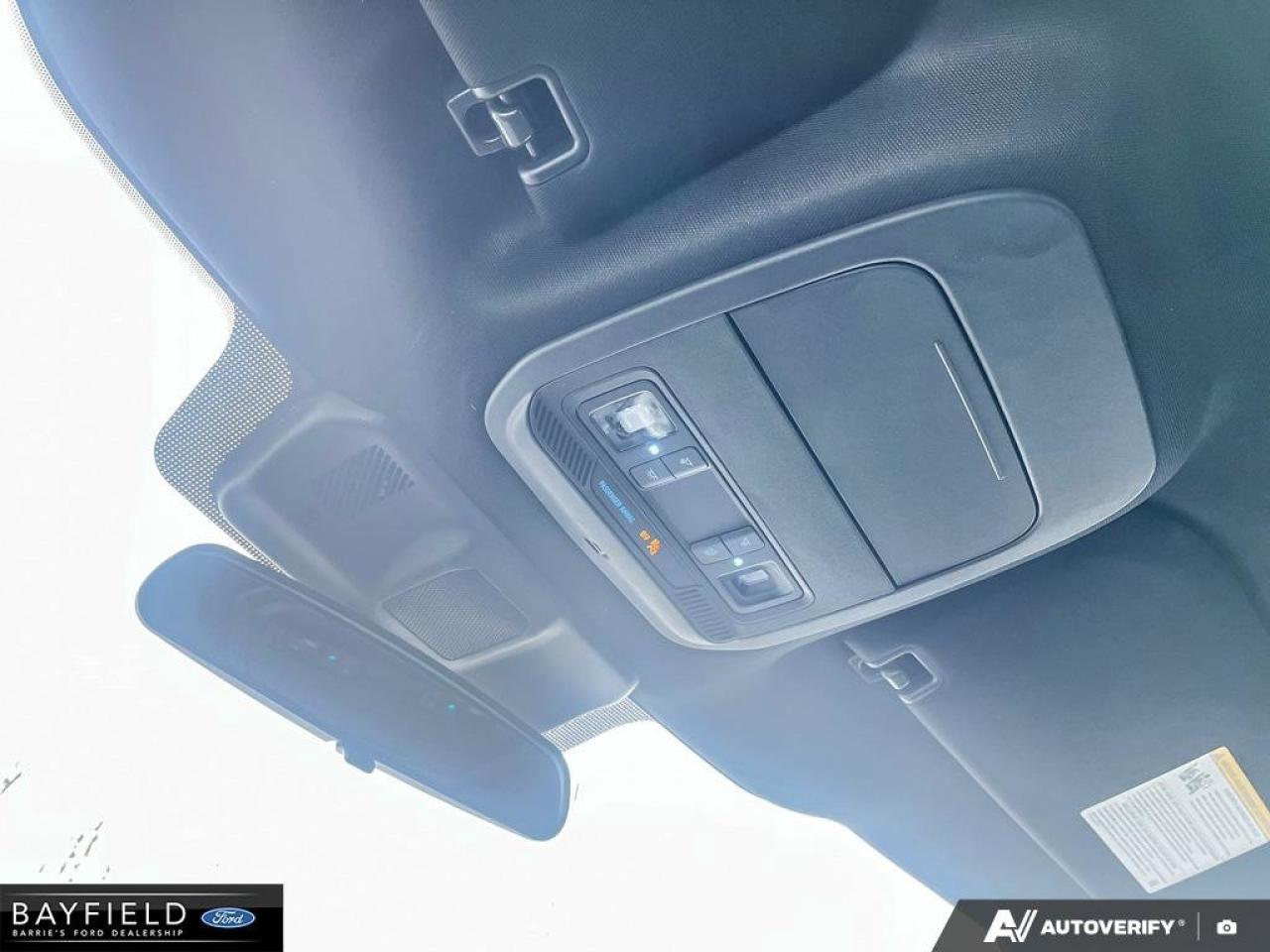 2025 Ford F-150 STX Photo