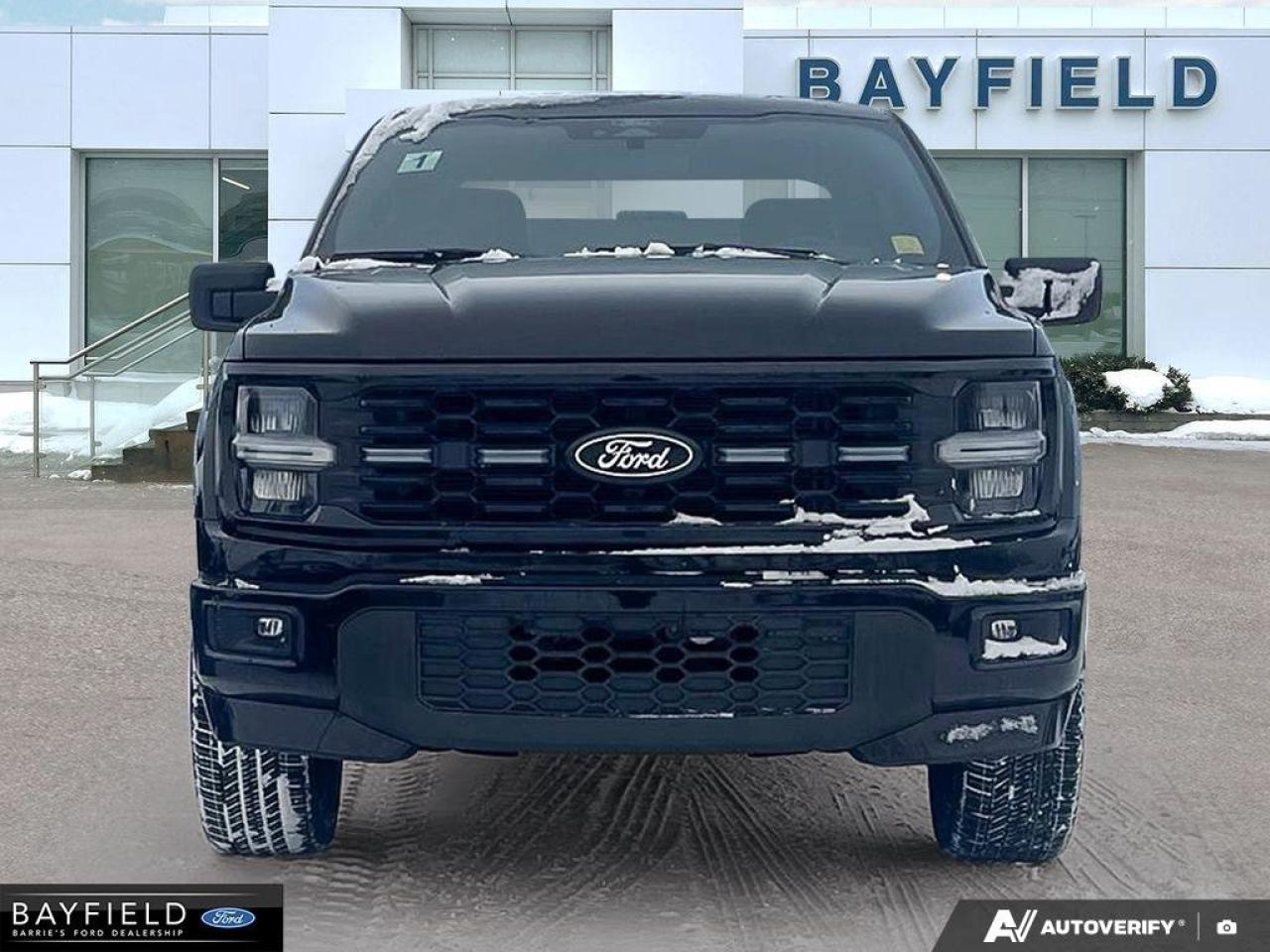 2025 Ford F-150 STX Photo