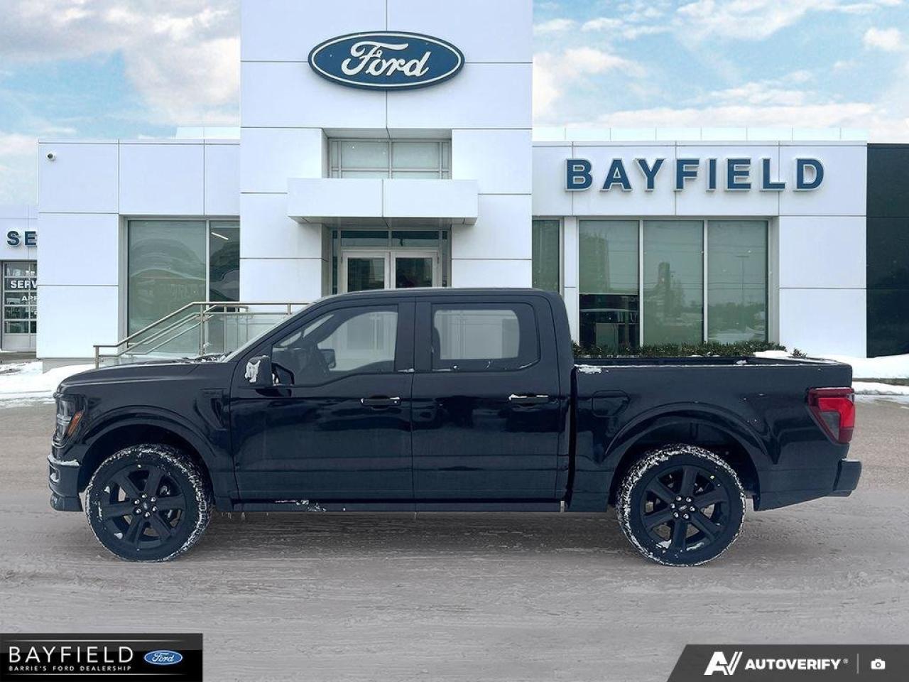 2025 Ford F-150 STX Photo