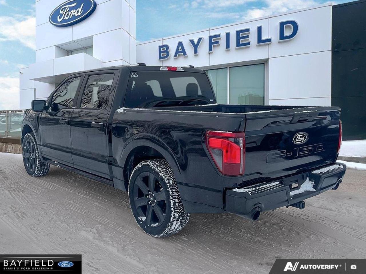 2025 Ford F-150 STX Photo