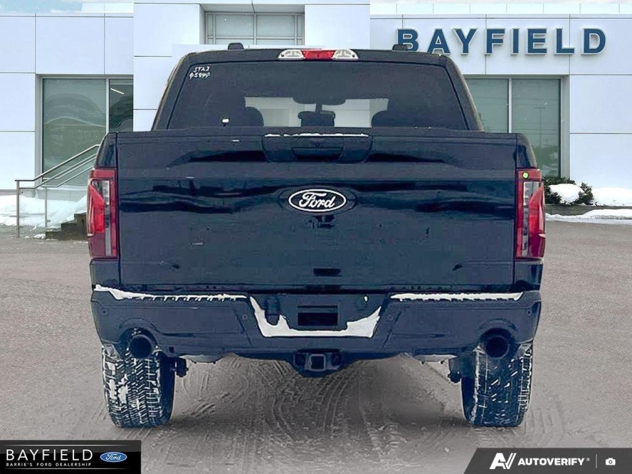 2025 Ford F-150 STX Photo