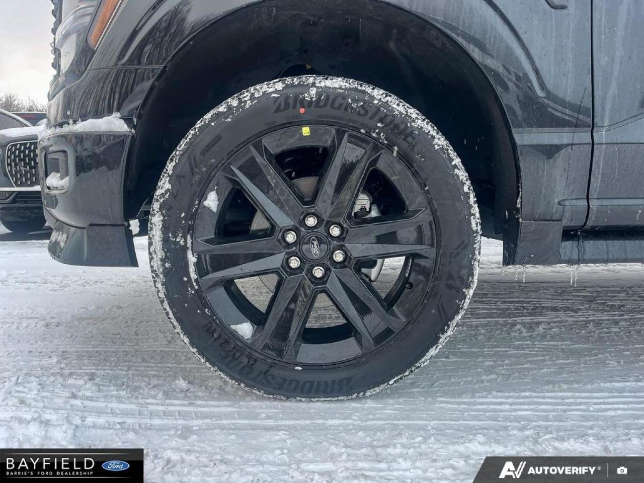 2025 Ford F-150 STX Photo