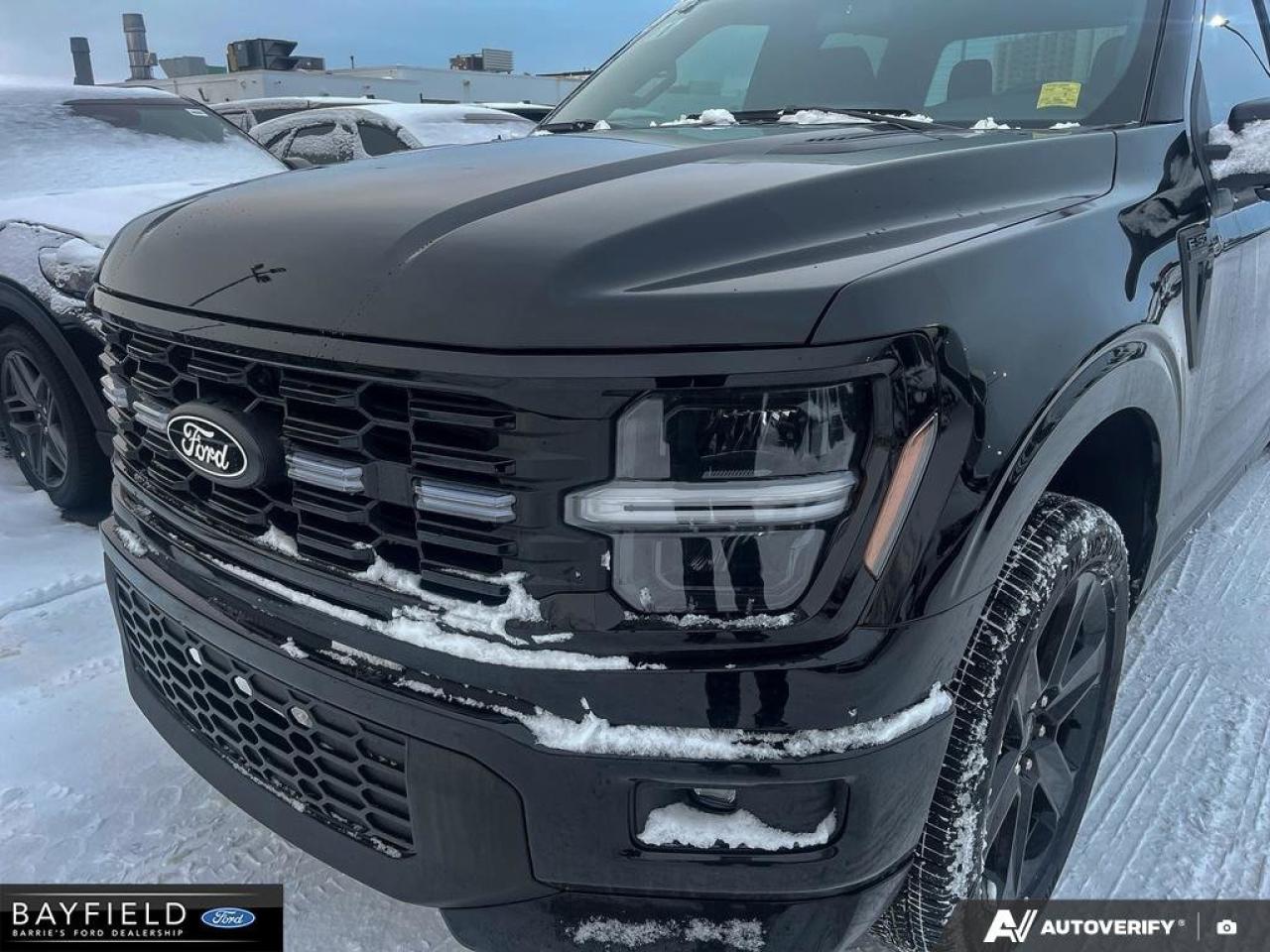 2025 Ford F-150 STX Photo