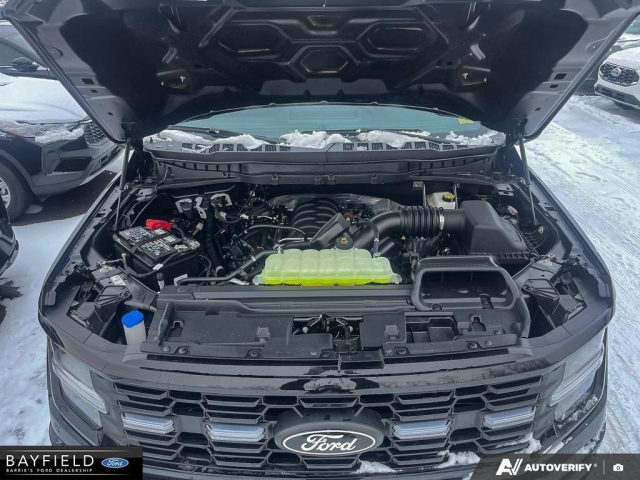 2025 Ford F-150 STX Photo