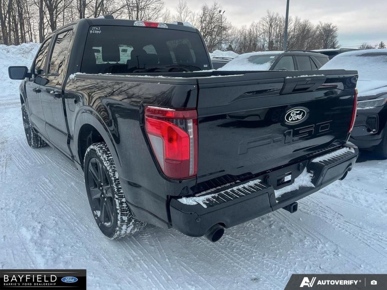 2025 Ford F-150 STX Photo