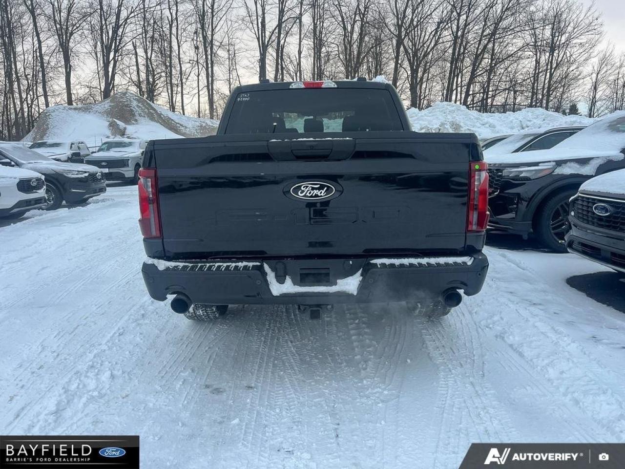 2025 Ford F-150 STX Photo