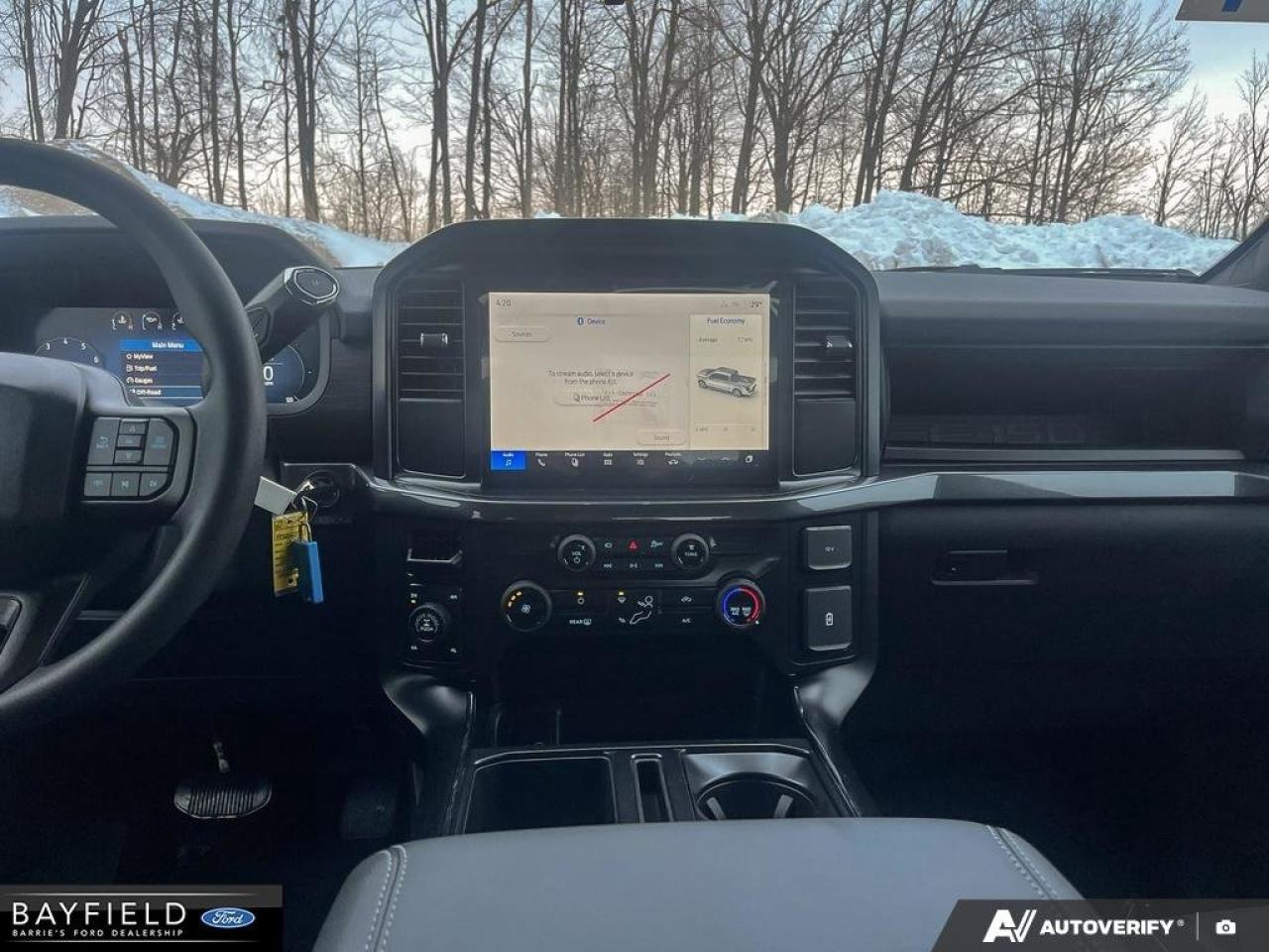 2025 Ford F-150 STX Photo