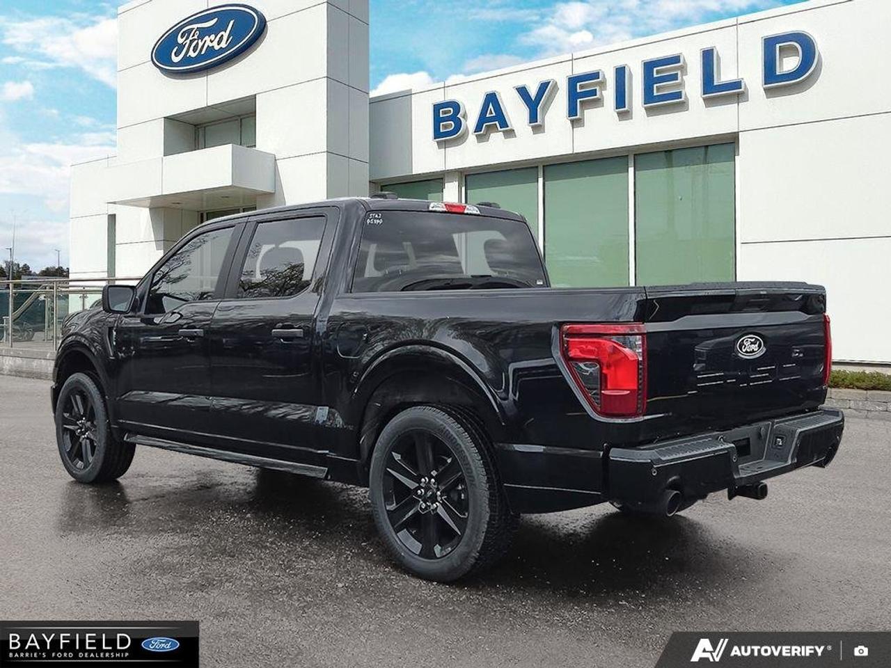 2025 Ford F-150 STX Photo