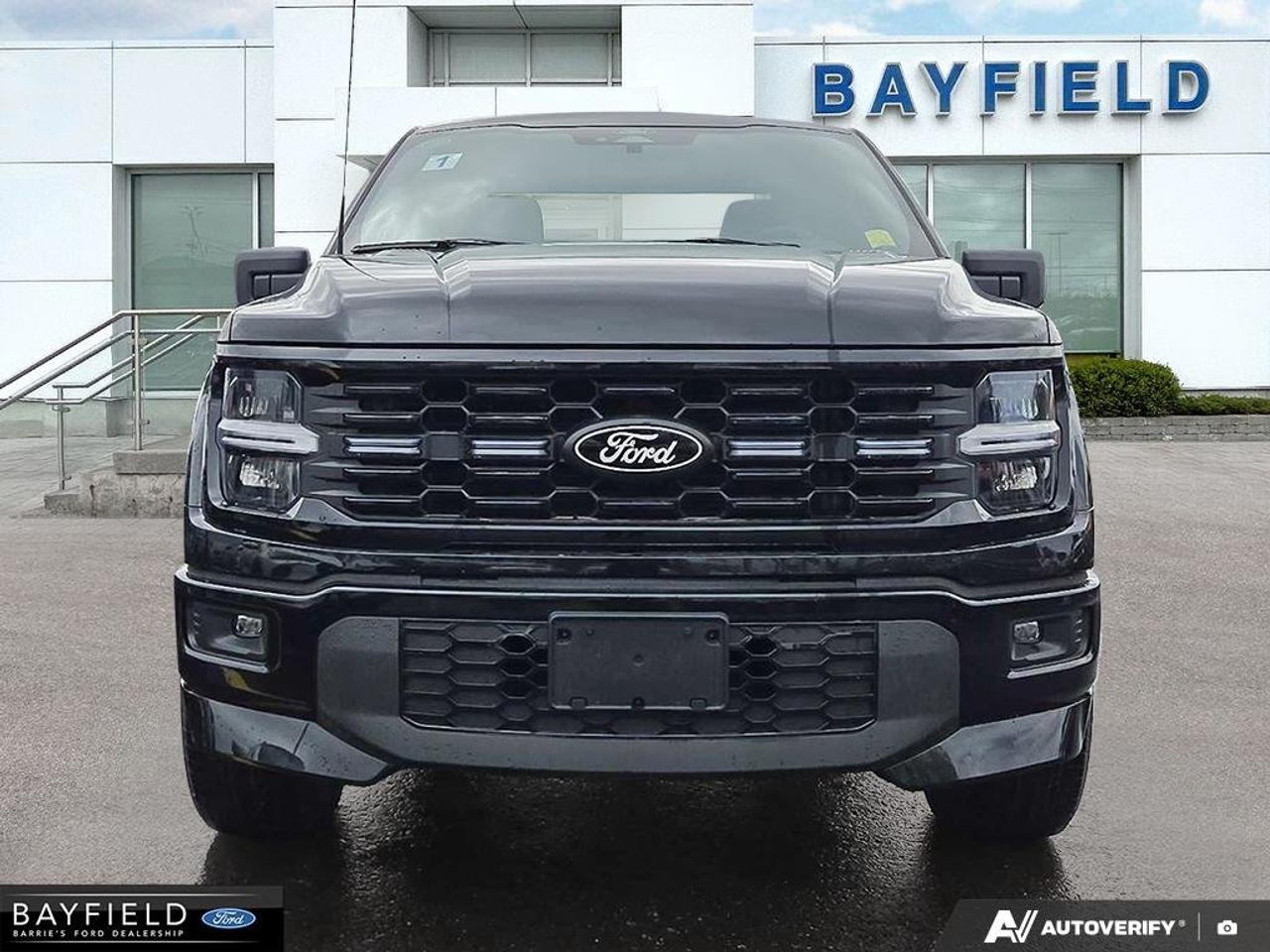 2025 Ford F-150 STX Photo