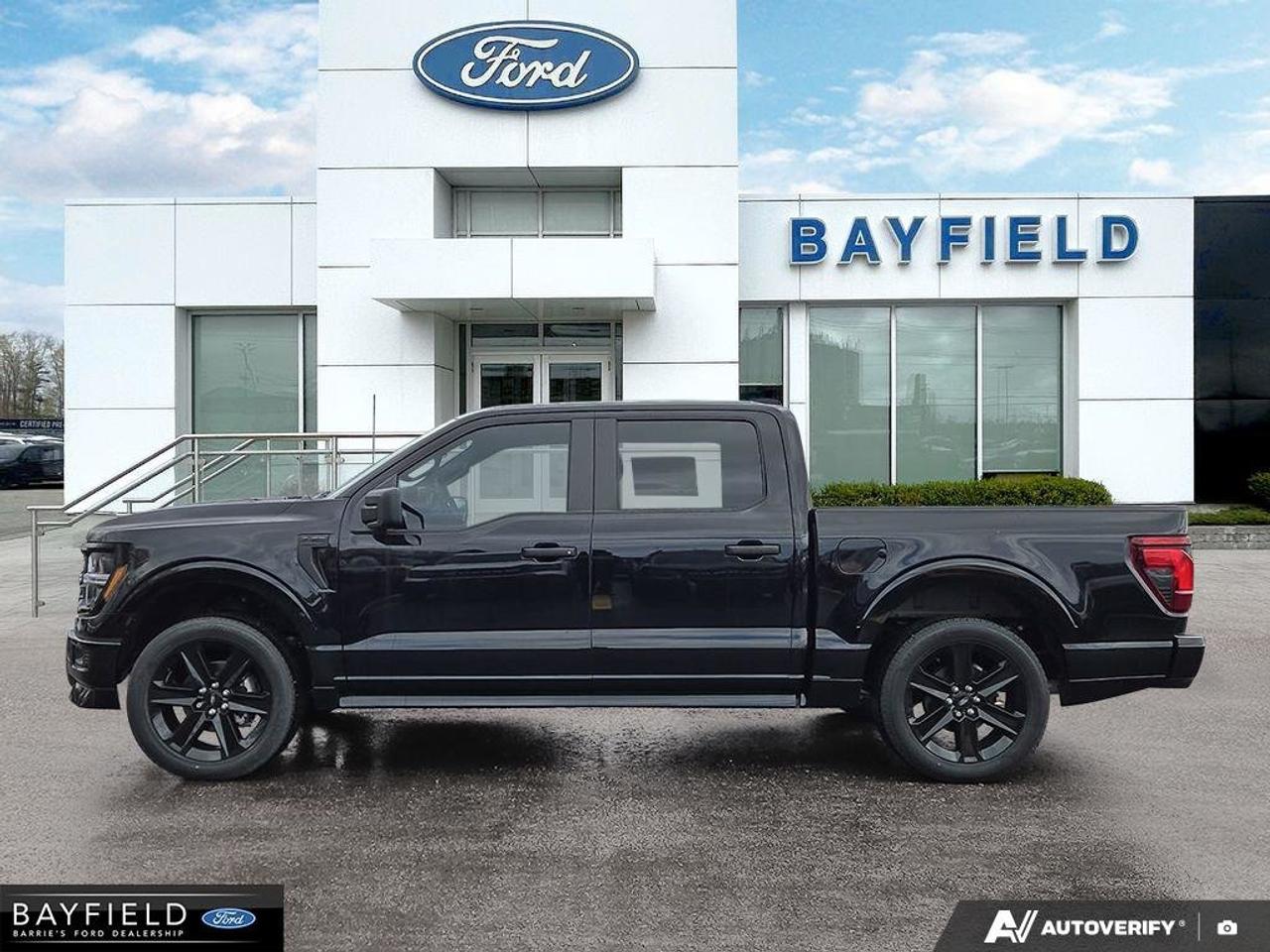 2025 Ford F-150 STX Photo