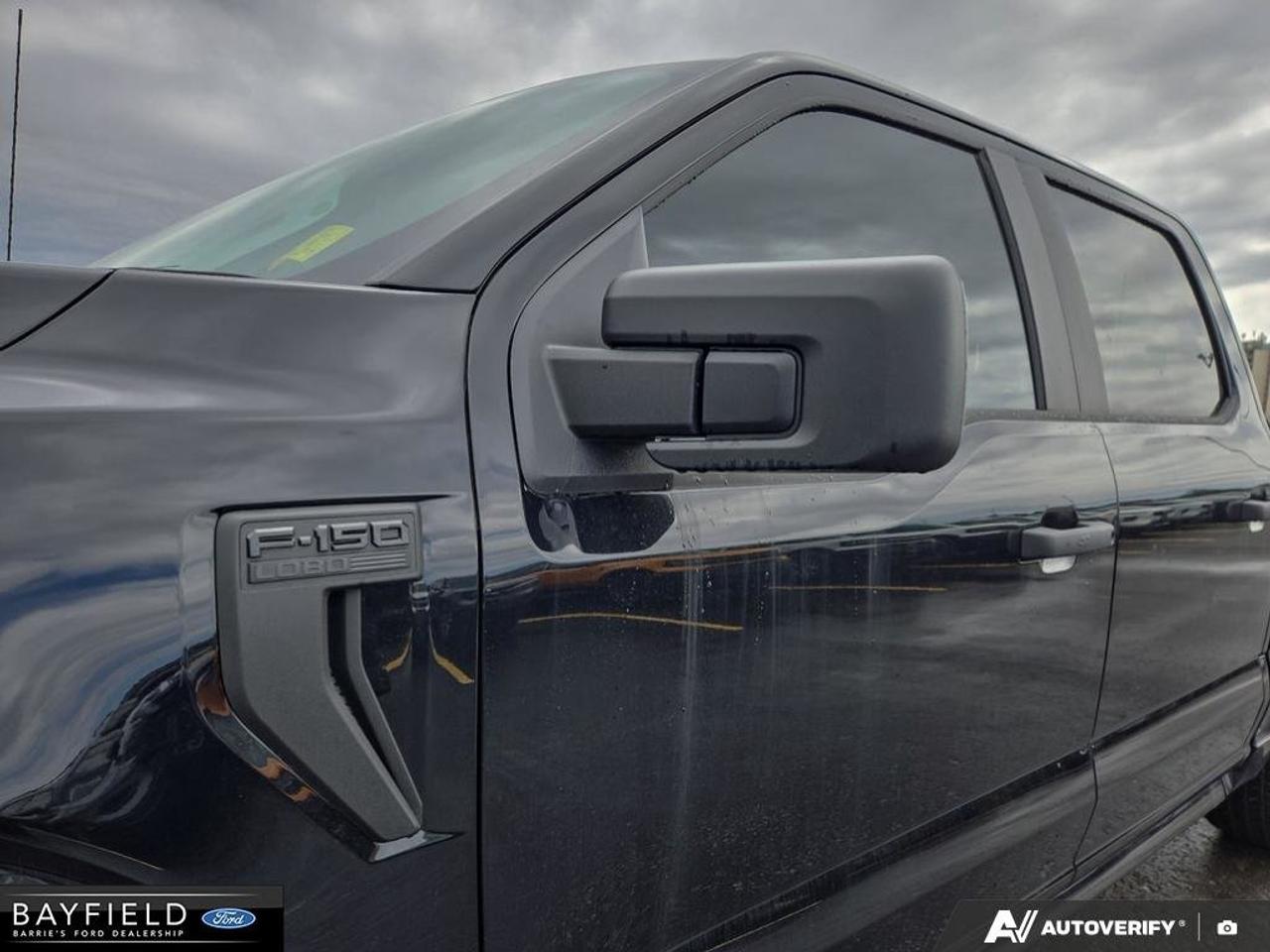 2025 Ford F-150 STX Photo