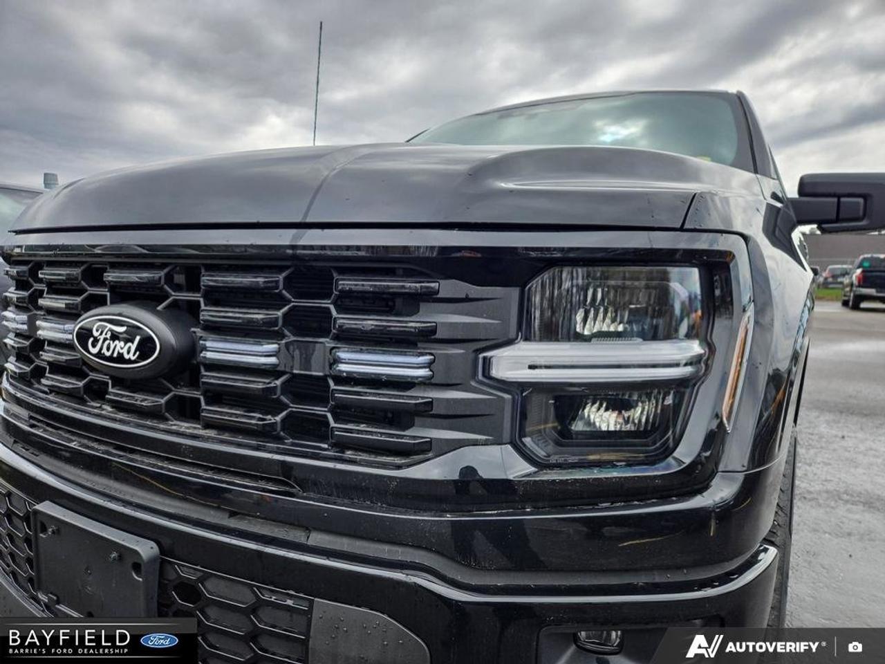 2025 Ford F-150 STX Photo