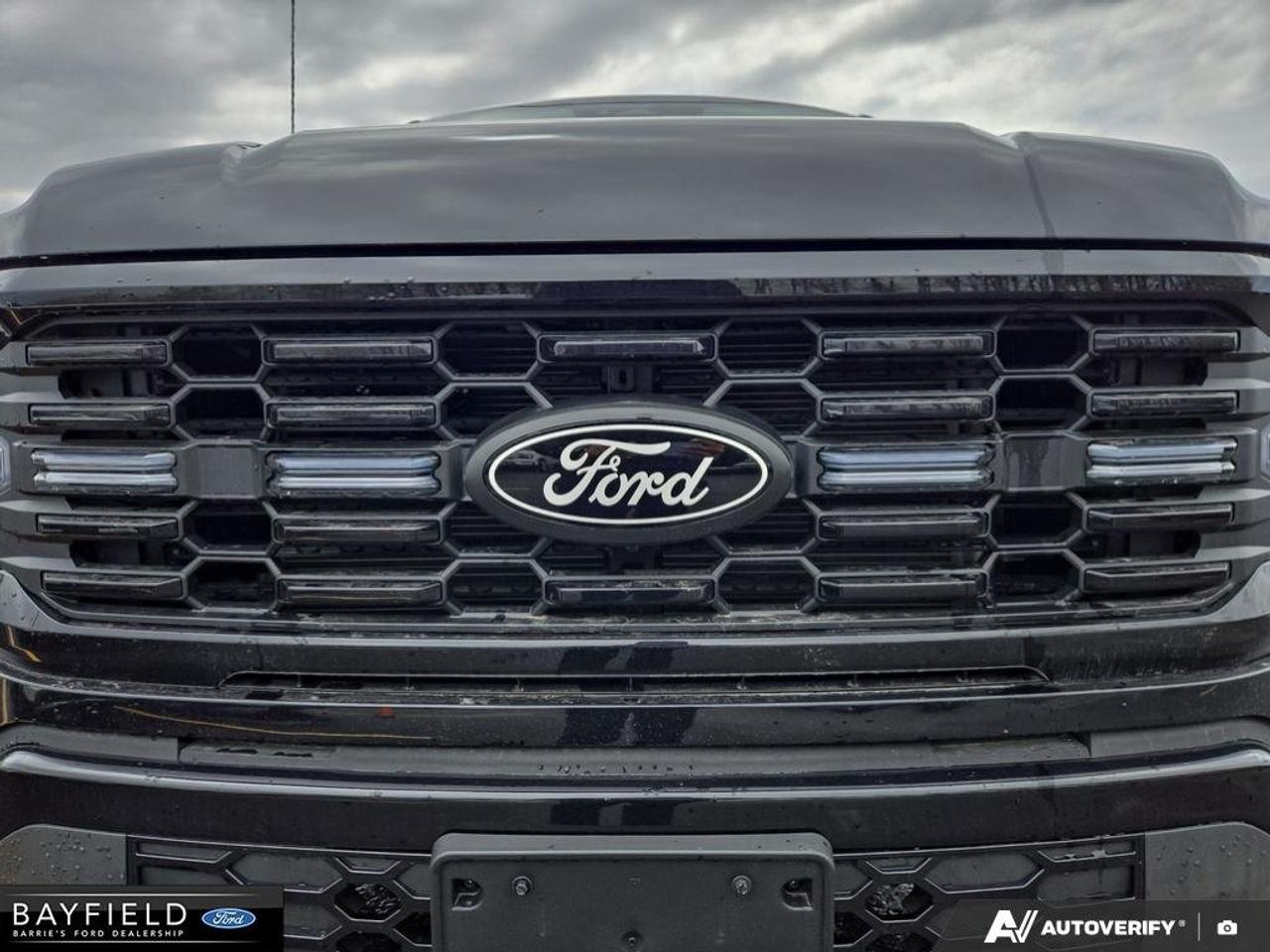 2025 Ford F-150 STX Photo