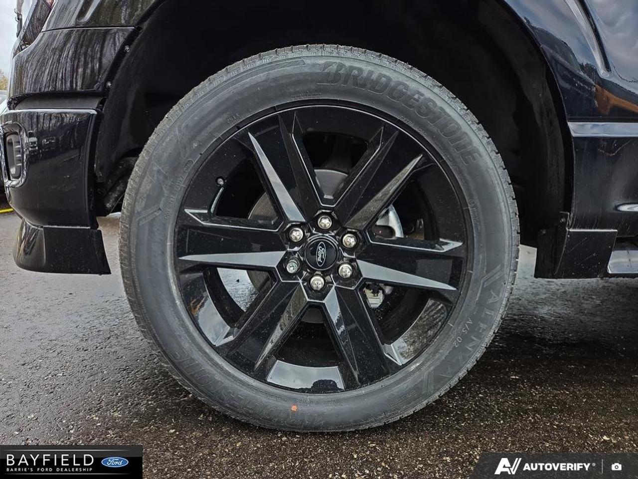 2025 Ford F-150 STX Photo
