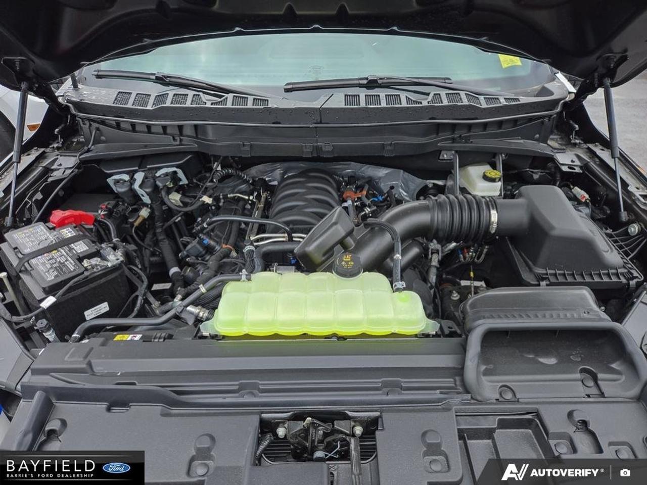 2025 Ford F-150 STX Photo