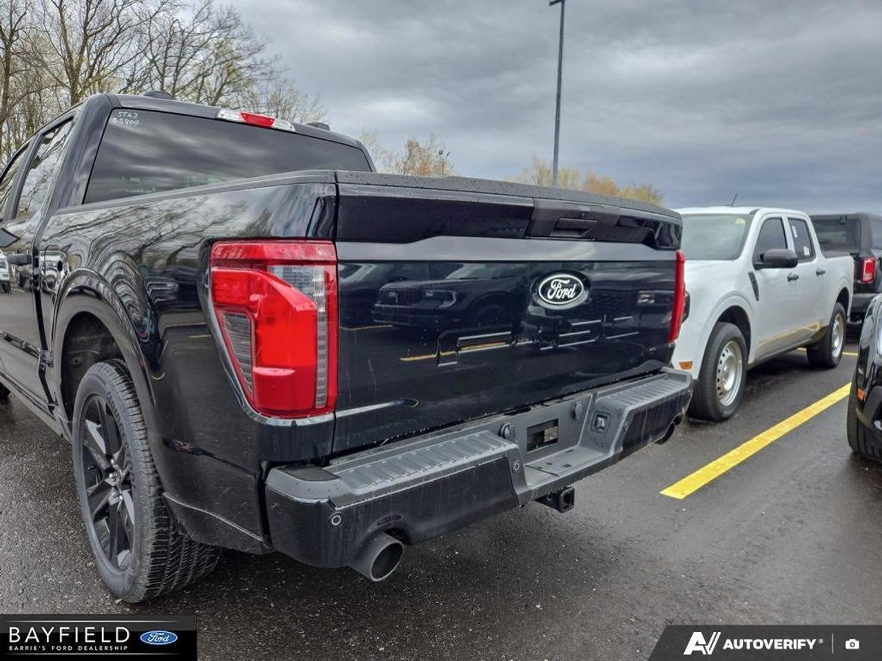 2025 Ford F-150 STX Photo