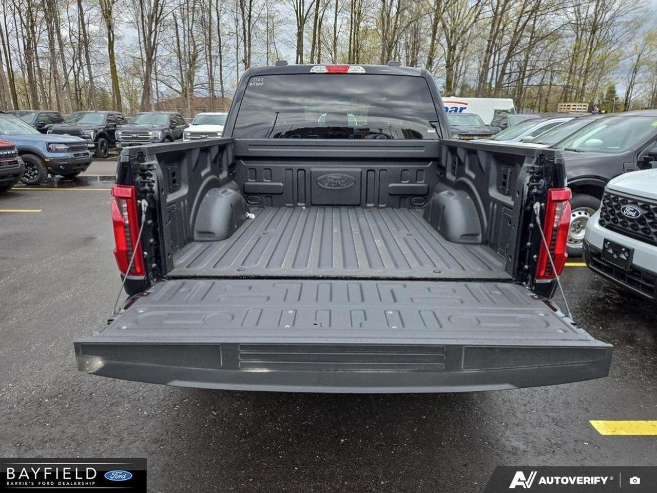2025 Ford F-150 STX Photo