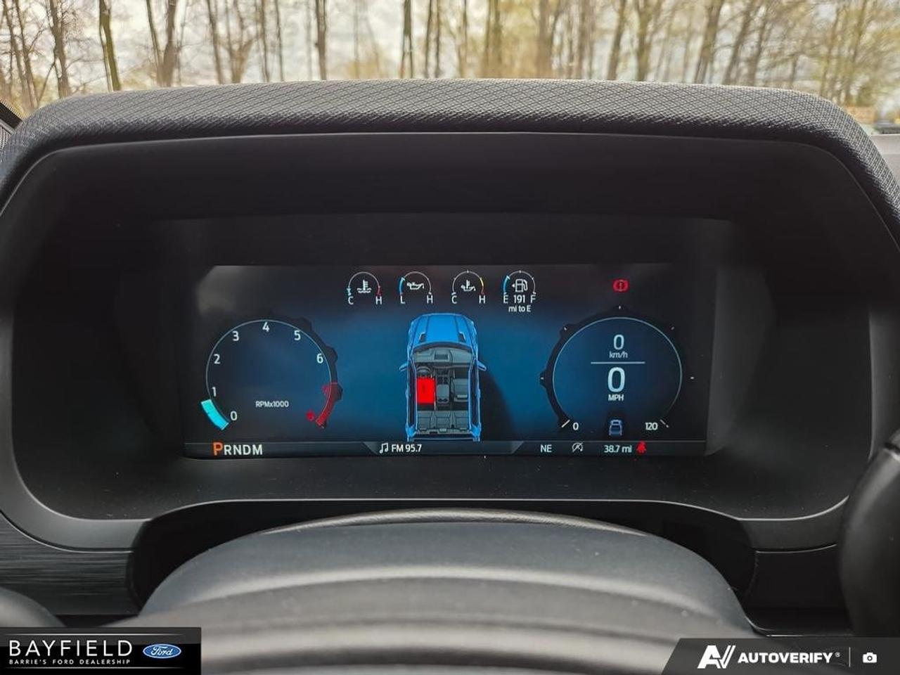 2025 Ford F-150 STX Photo