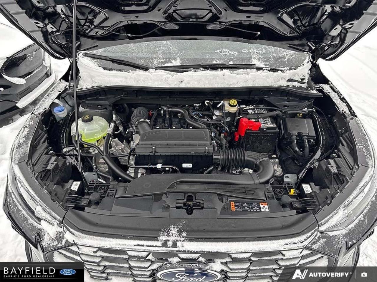 2026 Ford Escape ST-Line Photo