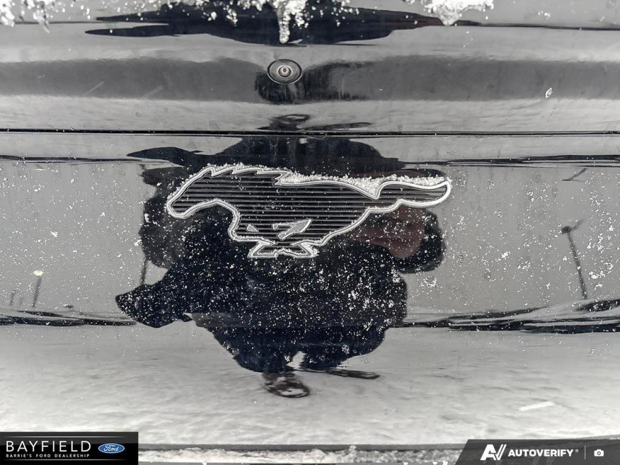 2025 Ford Mustang Mach-E Select Photo