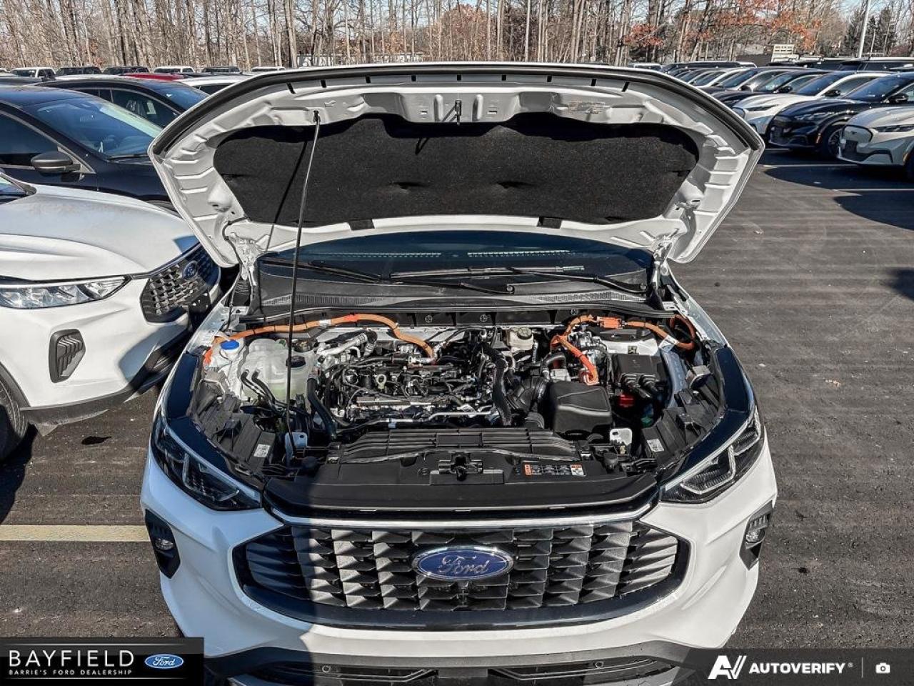 2026 Ford Escape PHEV Photo