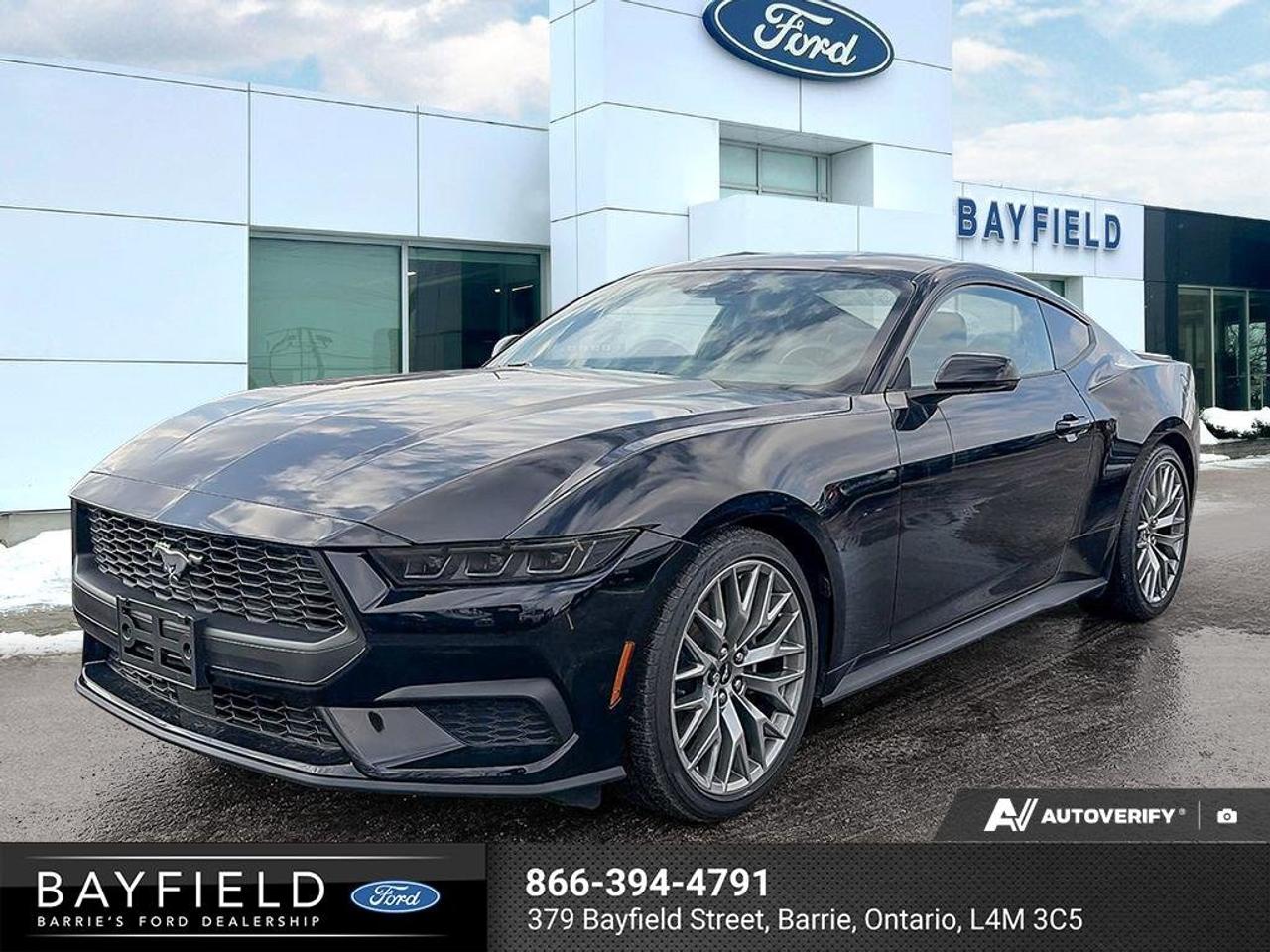 Used 2025 Ford Mustang EcoBoost Premium for sale in Etobicoke, ON