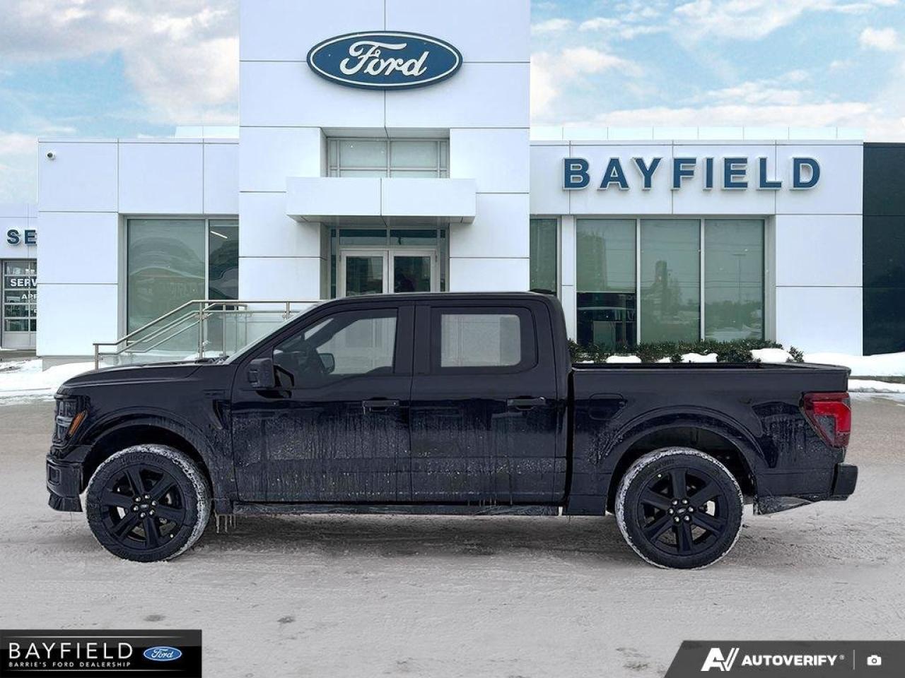 2025 Ford F-150 STX Photo2