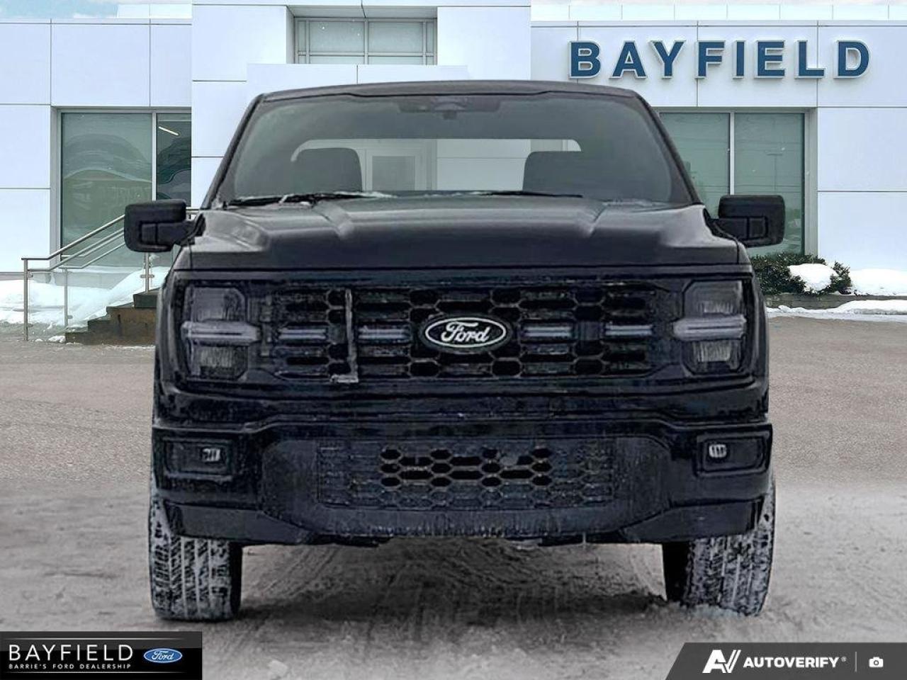 2025 Ford F-150 STX Photo