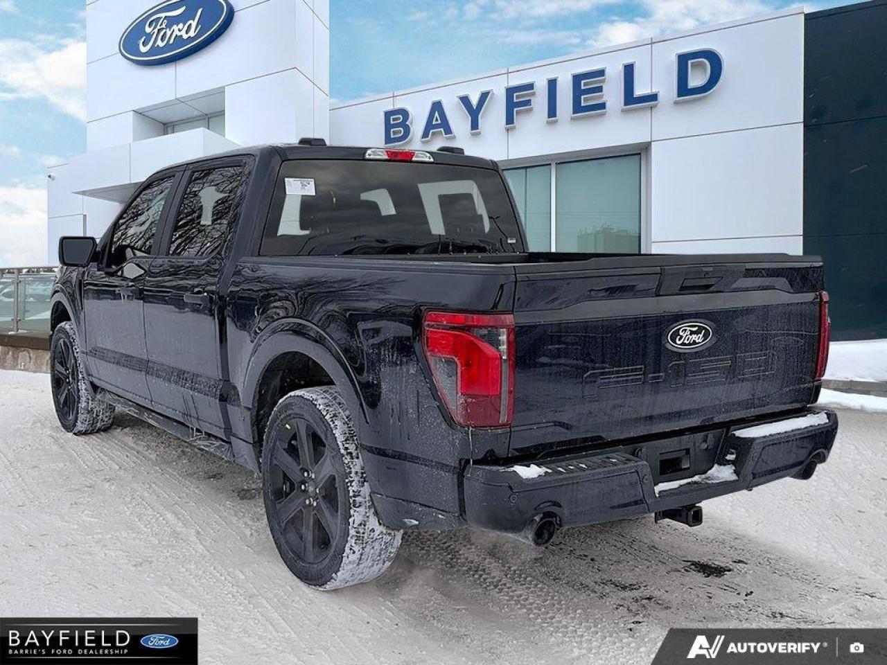 2025 Ford F-150 STX Photo3