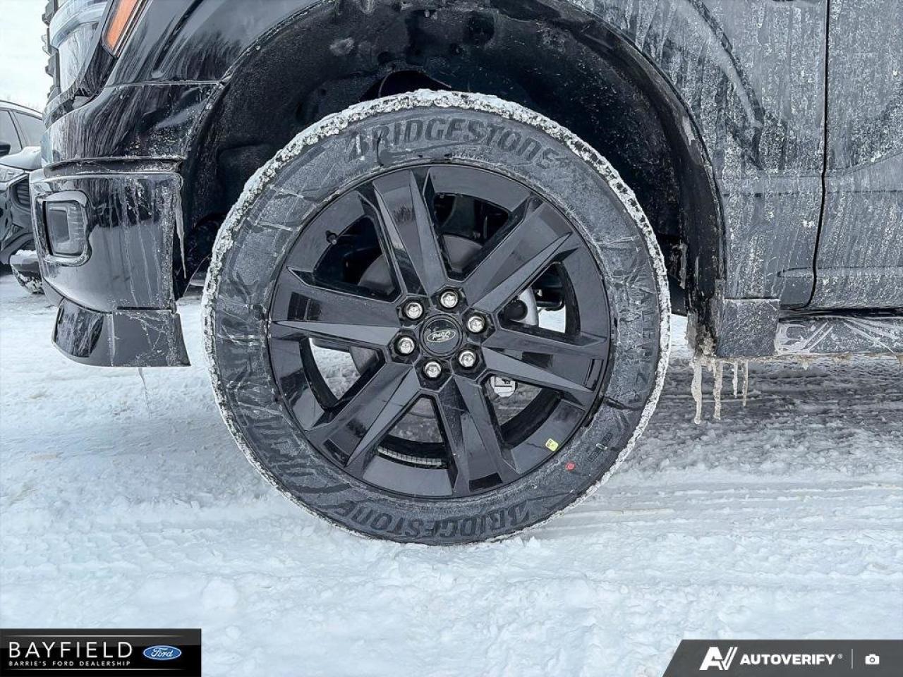 2025 Ford F-150 STX Photo