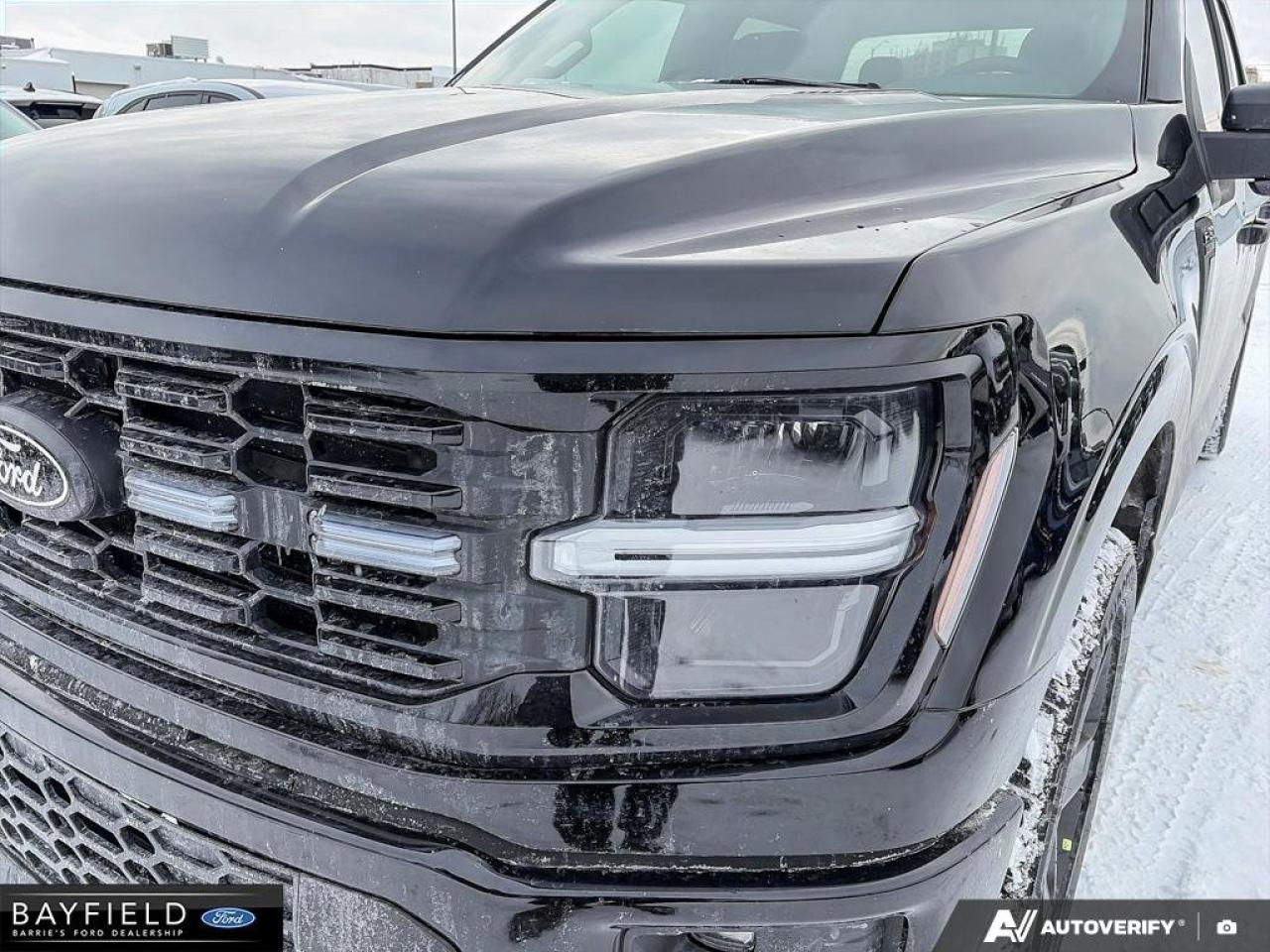 2025 Ford F-150 STX Photo