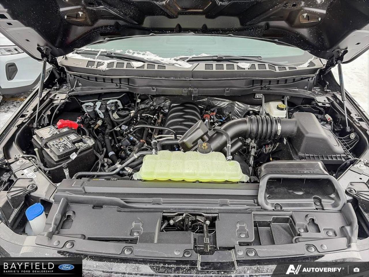 2025 Ford F-150 STX Photo