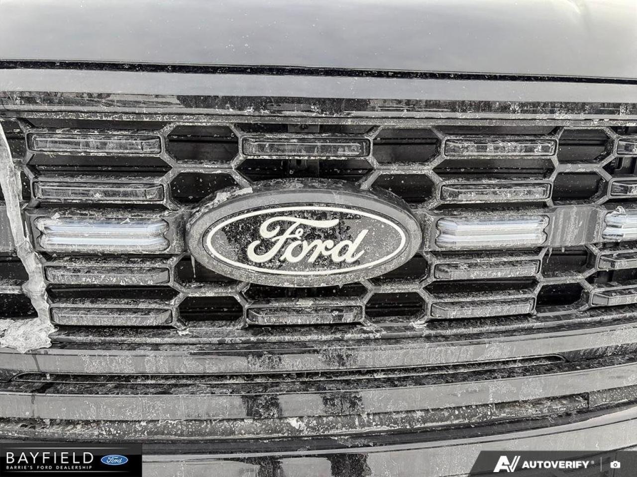 2025 Ford F-150 STX Photo
