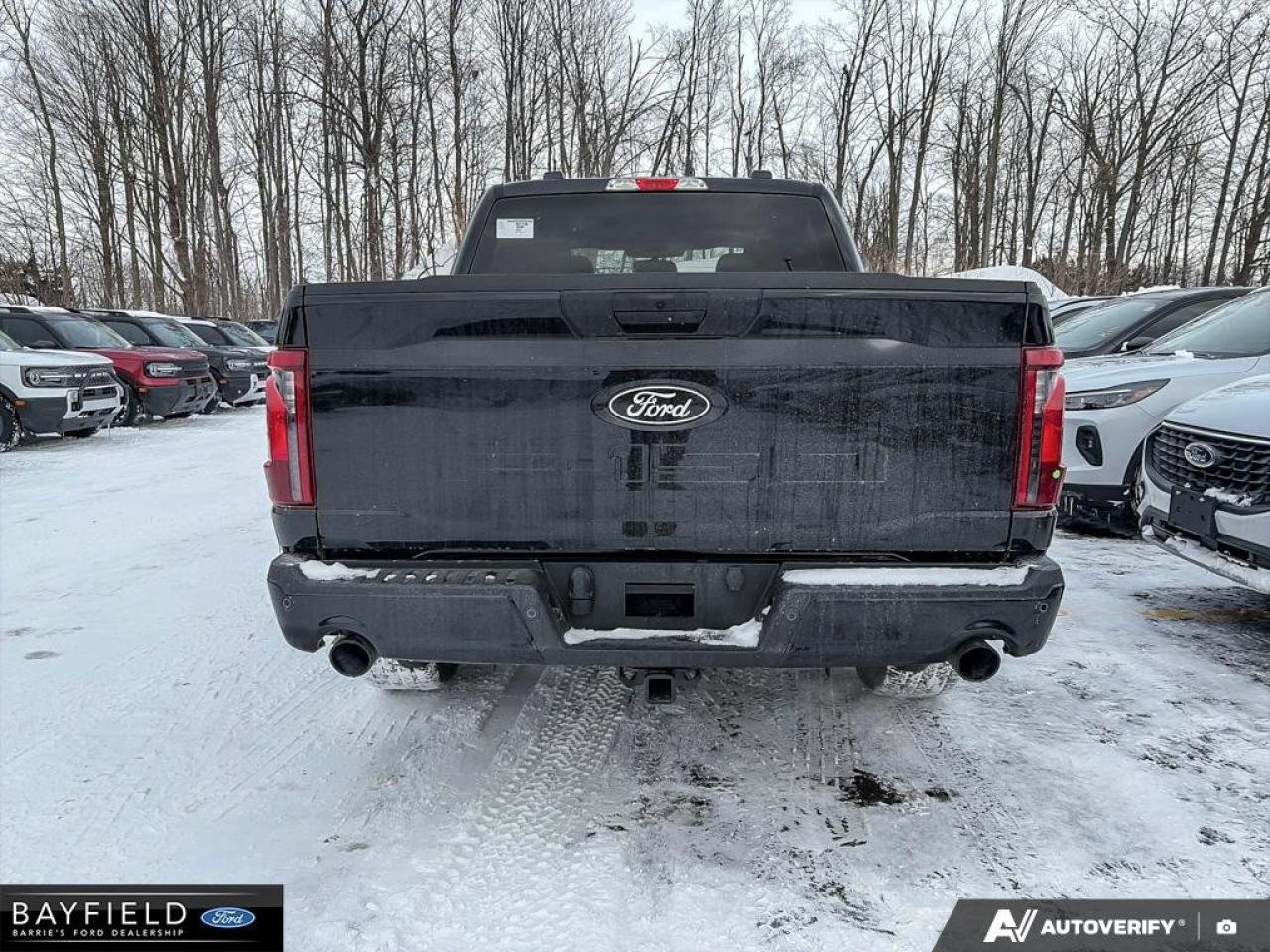 2025 Ford F-150 STX Photo