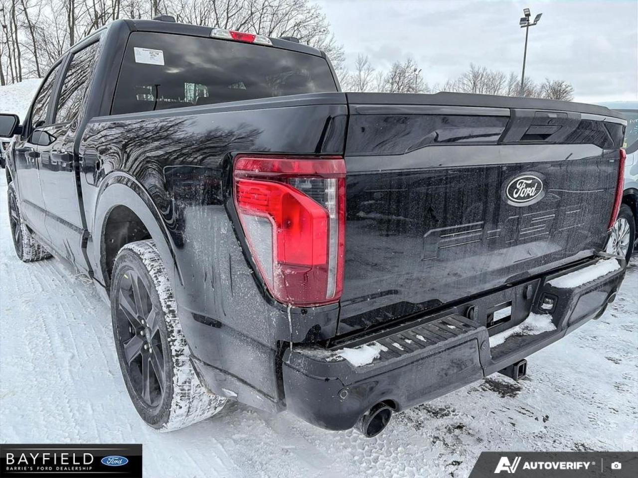 2025 Ford F-150 STX Photo