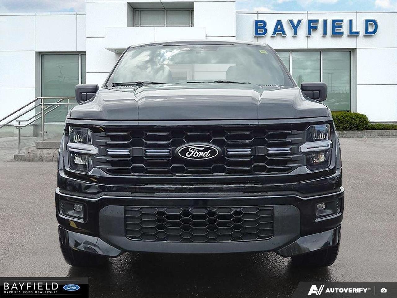 2025 Ford F-150 STX Photo