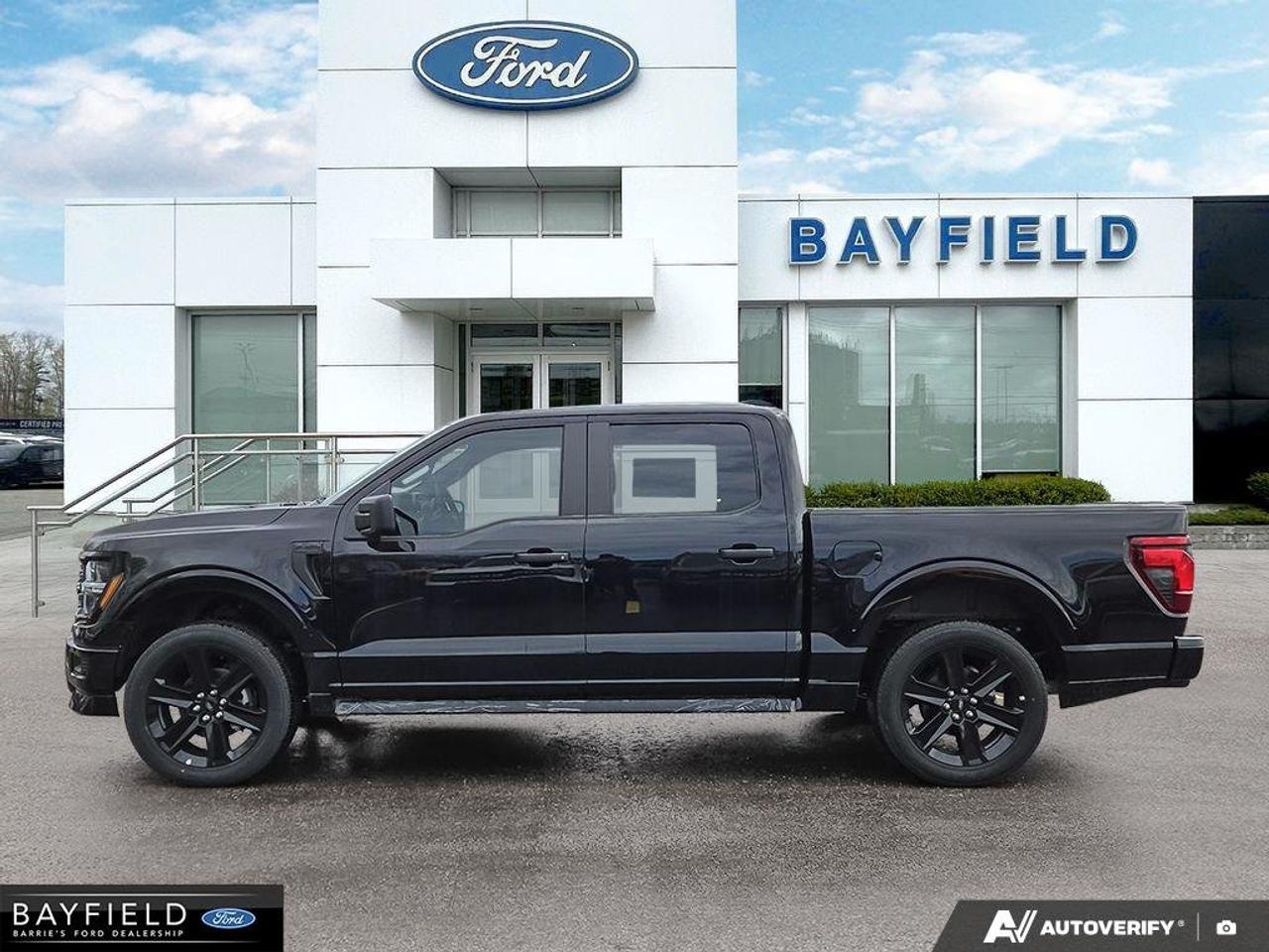 2025 Ford F-150 STX Photo