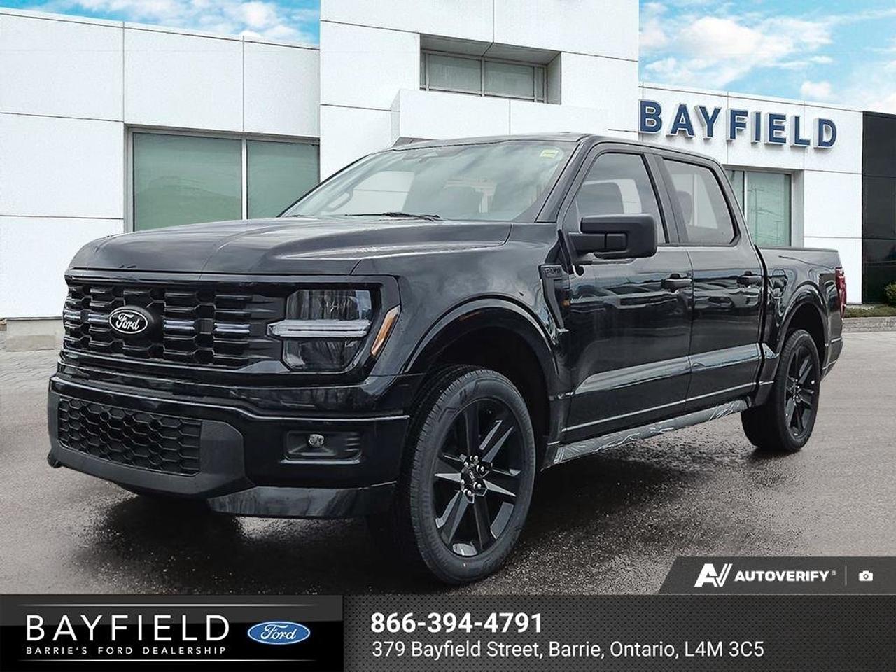 2025 Ford F-150 STX Photo