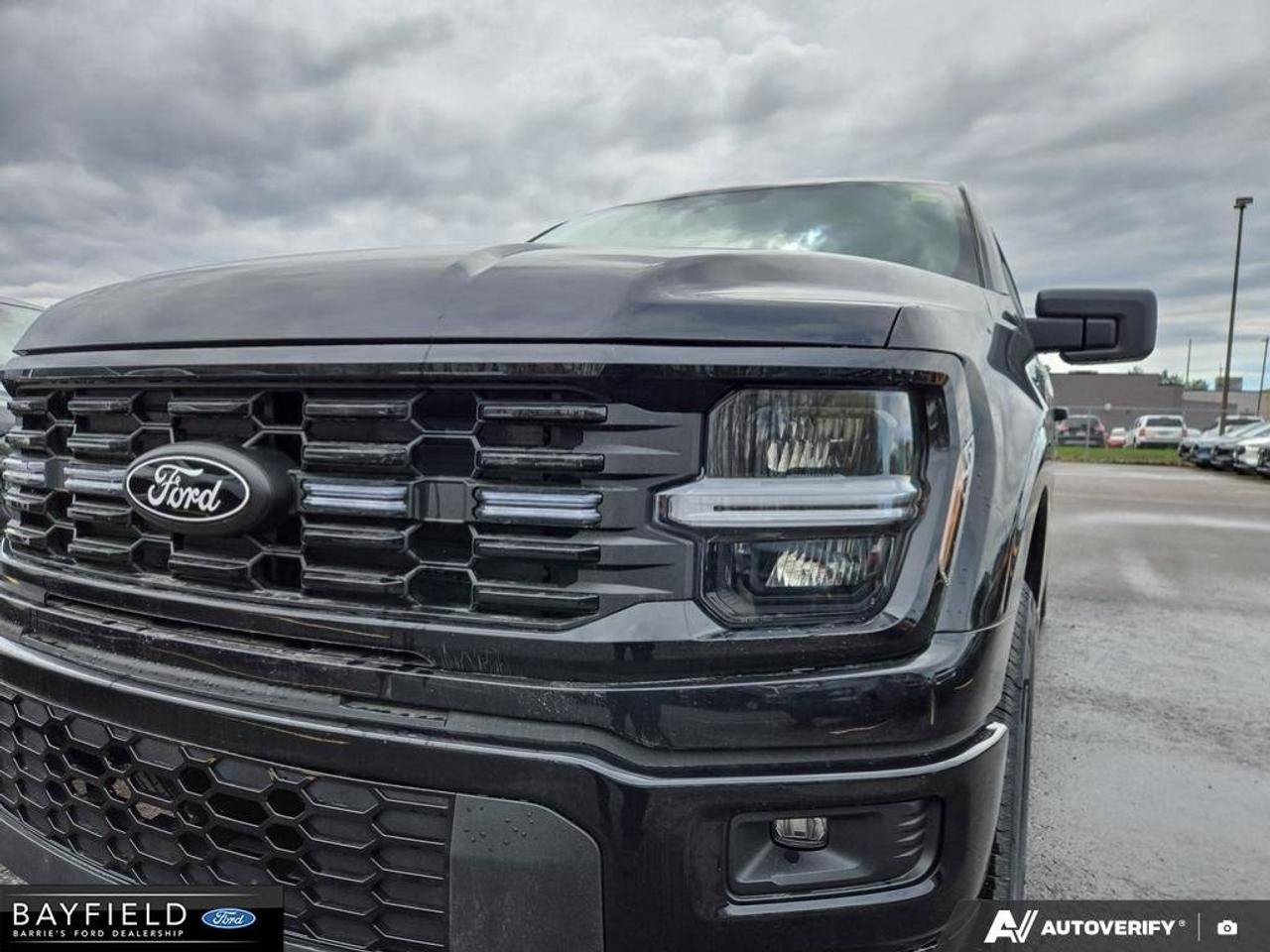 2025 Ford F-150 STX Photo
