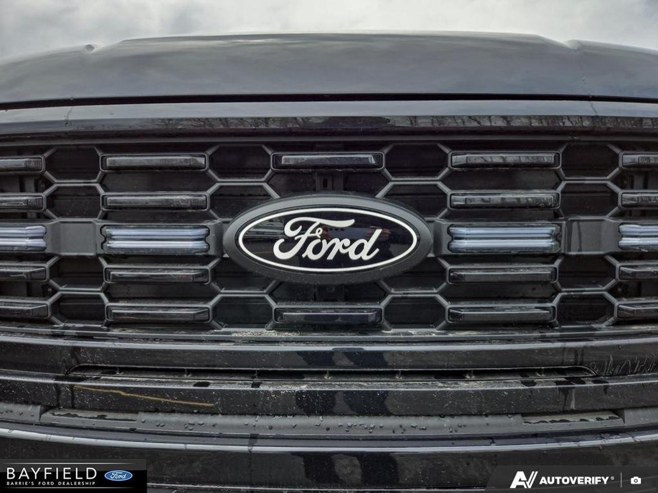 2025 Ford F-150 STX Photo