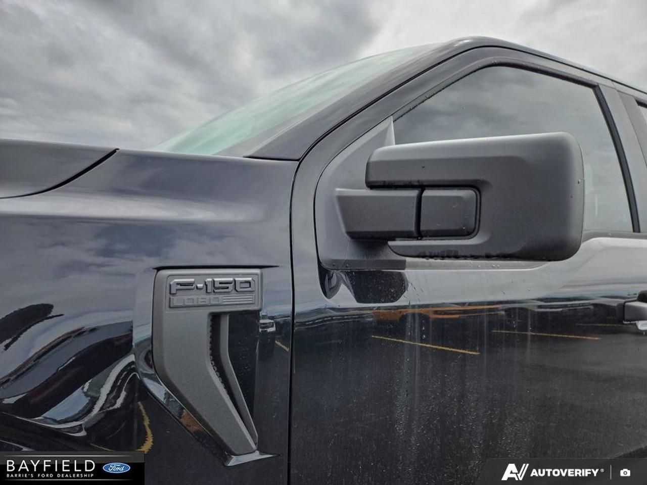 2025 Ford F-150 STX Photo