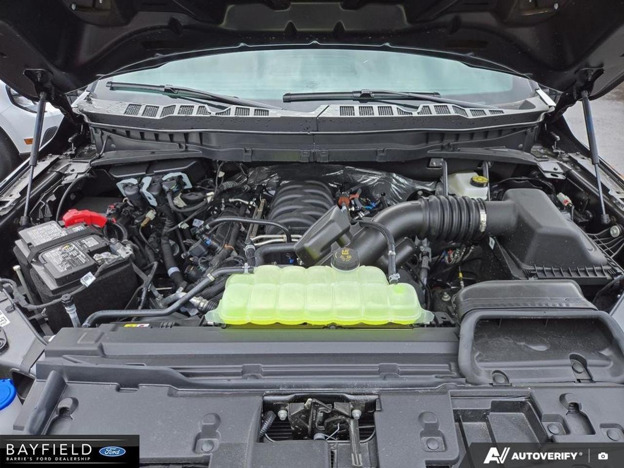 2025 Ford F-150 STX Photo