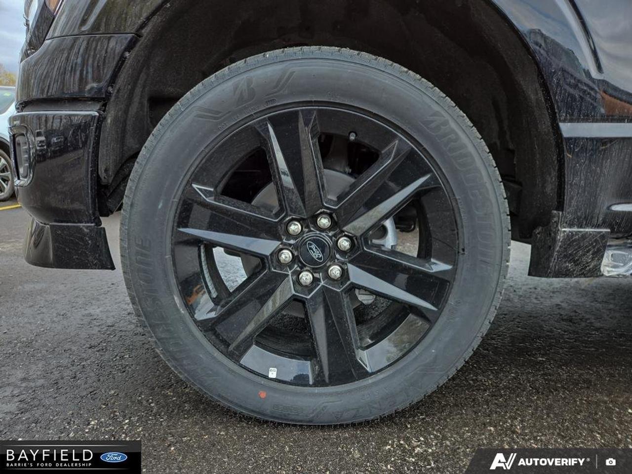 2025 Ford F-150 STX Photo