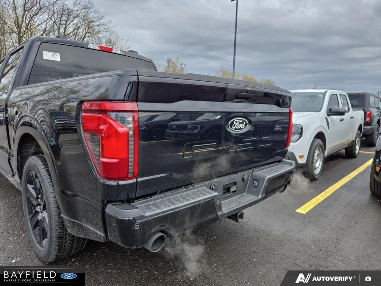 2025 Ford F-150 STX Photo