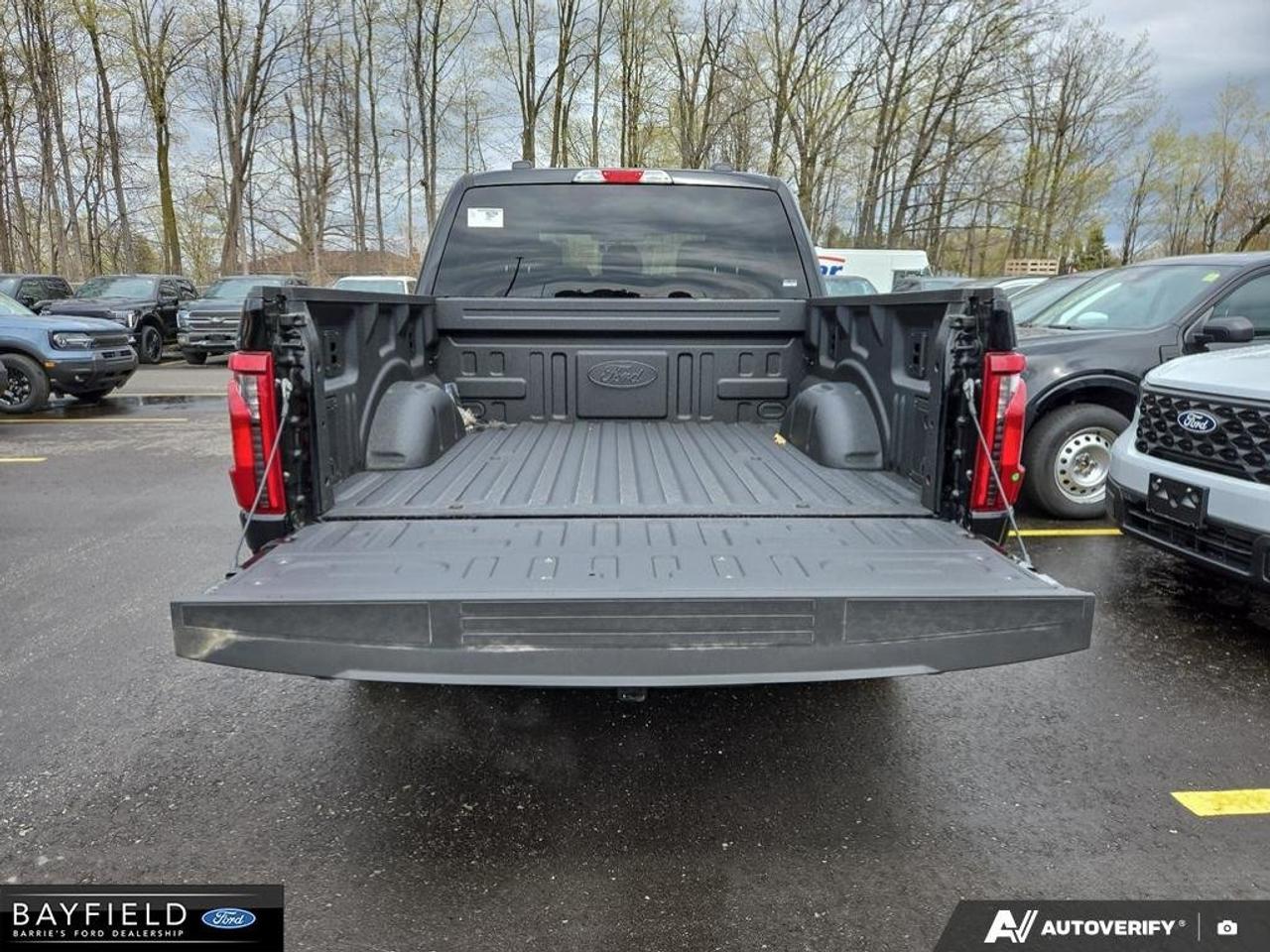 2025 Ford F-150 STX Photo