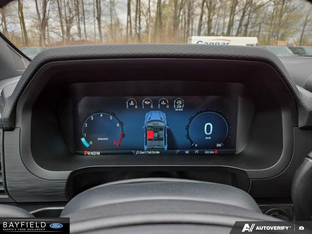 2025 Ford F-150 STX Photo