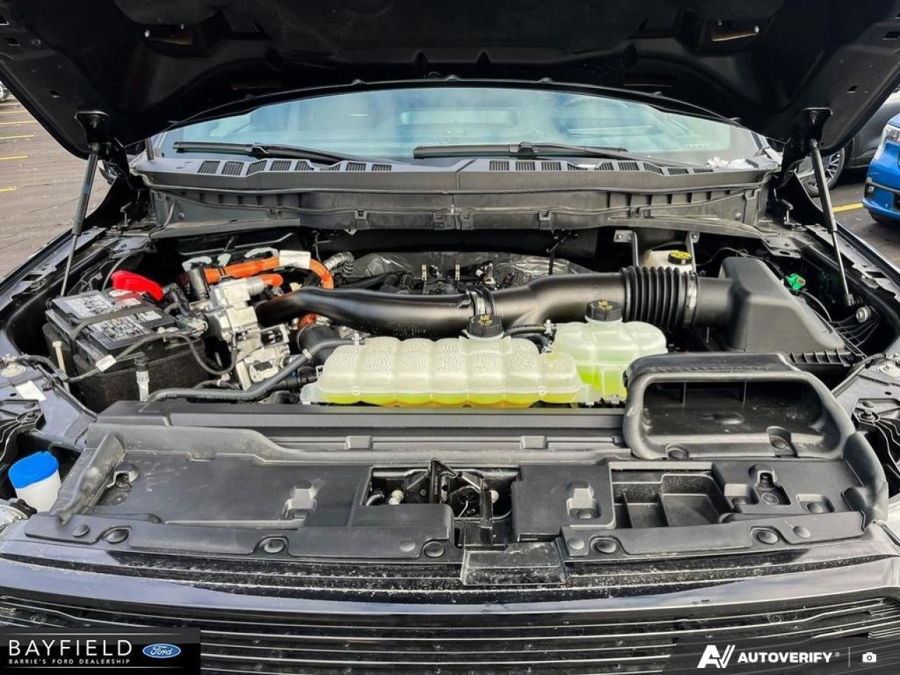 2025 Ford F-150 Platinum Photo